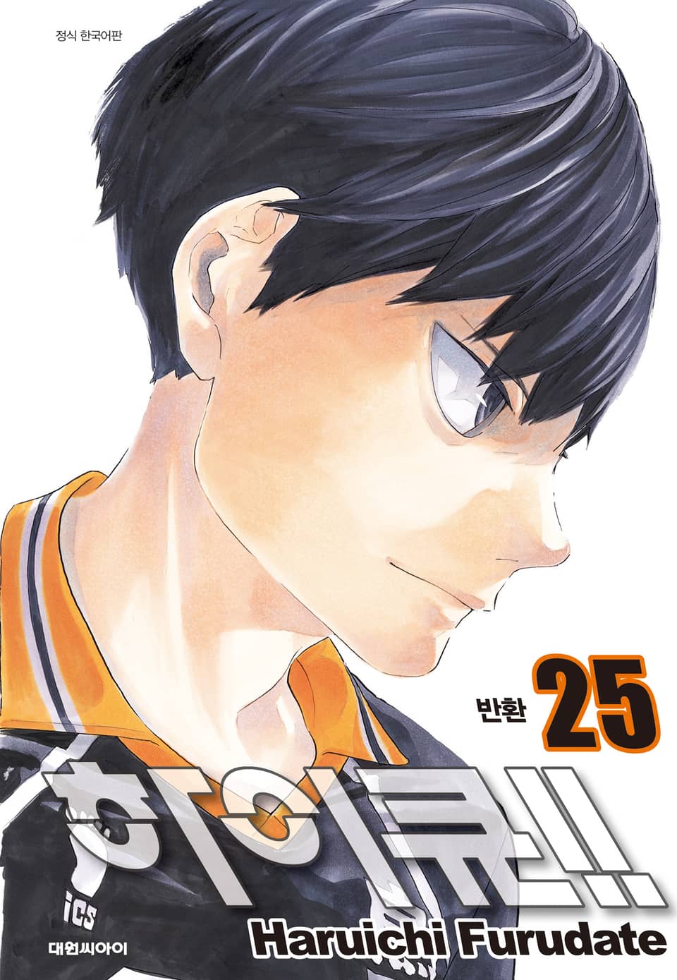 하이큐!! 25권