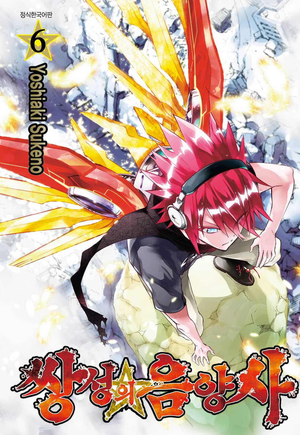 쌍성의 음양사 6권