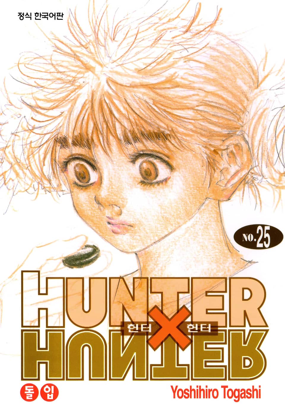 헌터X헌터 신장판 25권