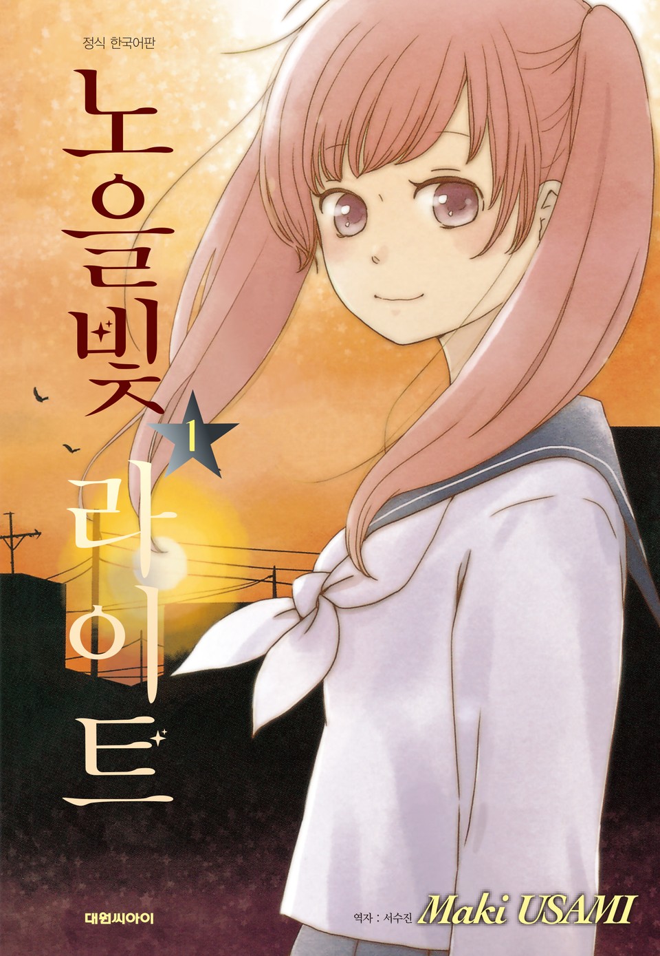 노을빛 라이트 1권