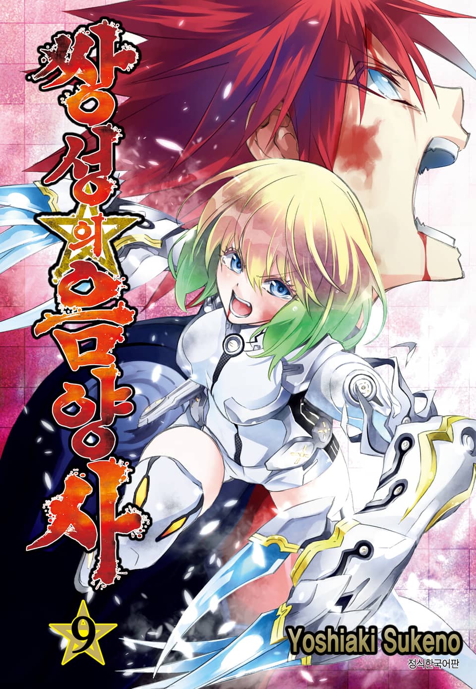 쌍성의 음양사 9권