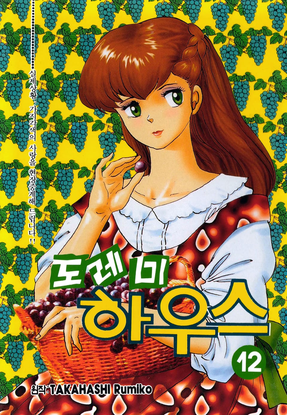 도레미 하우스 12권