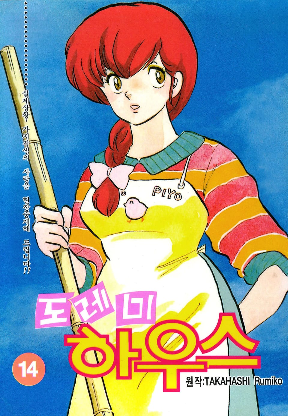 도레미 하우스 14권