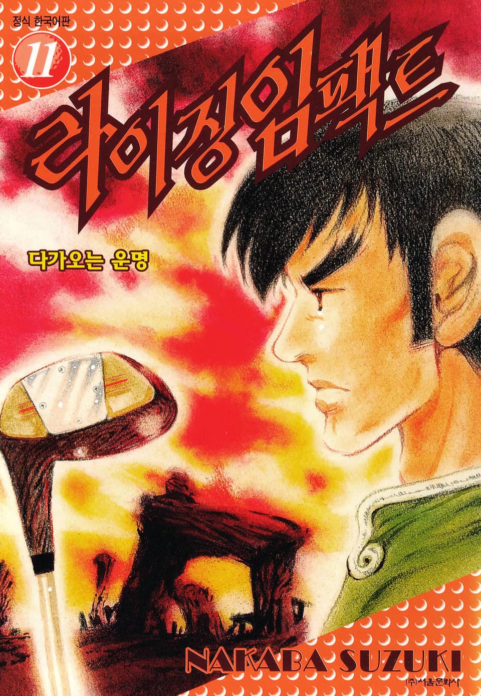 라이징 임팩트 11권