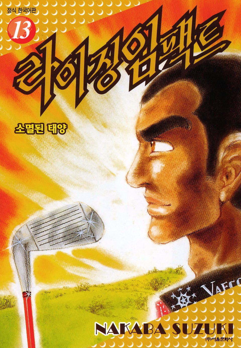 라이징 임팩트 13권