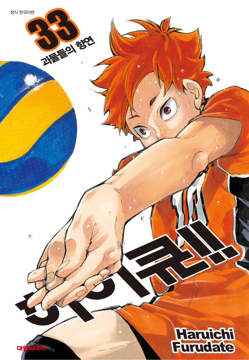하이큐!! 33권