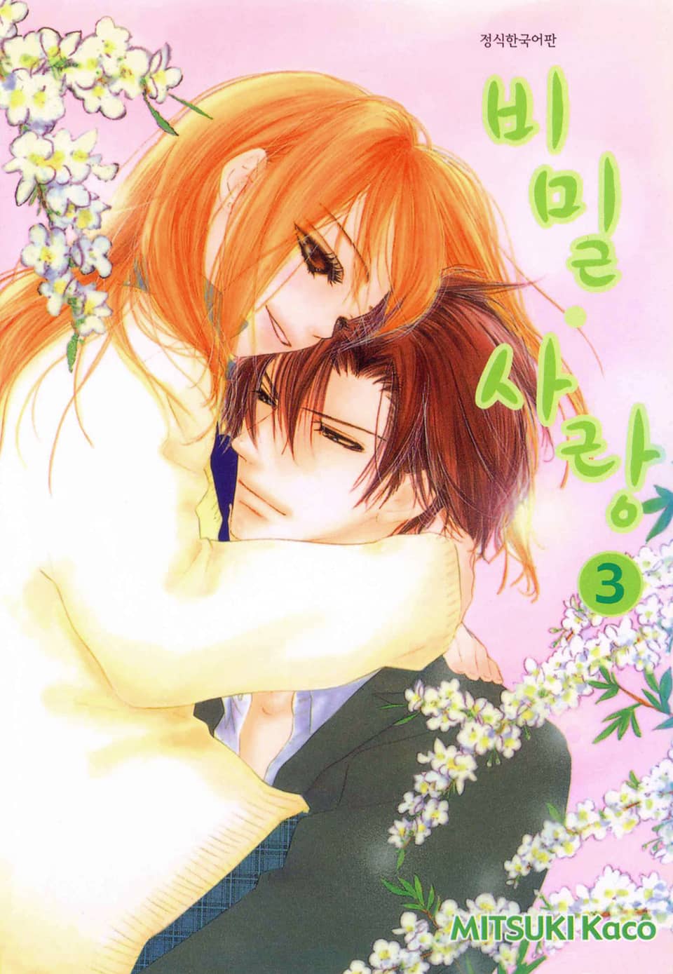 비밀사랑 3권 (완결)
