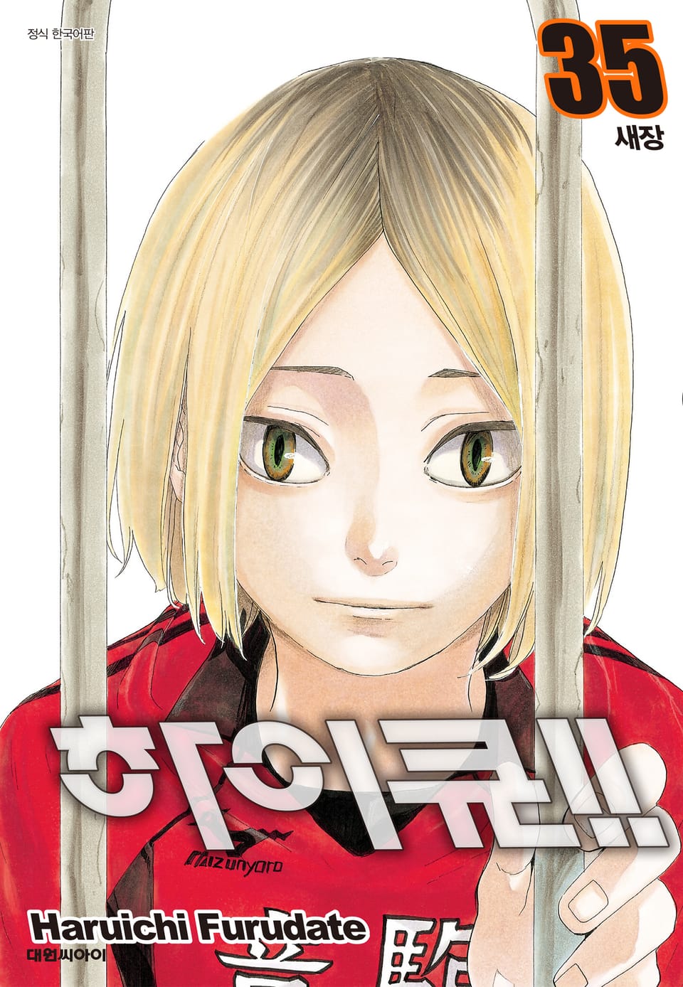 하이큐!! 35권