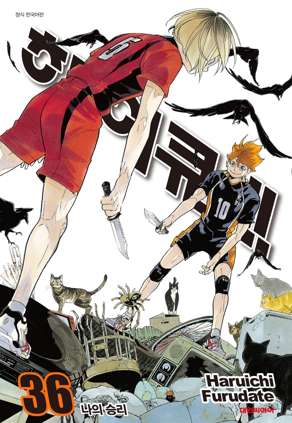 하이큐!! 36권