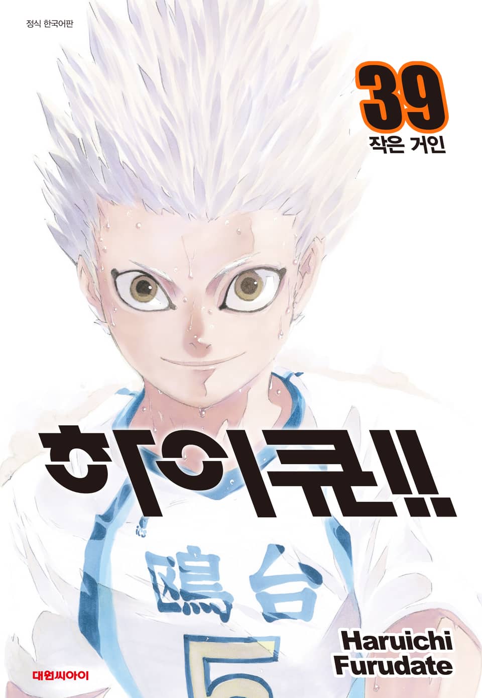 하이큐!! 39권