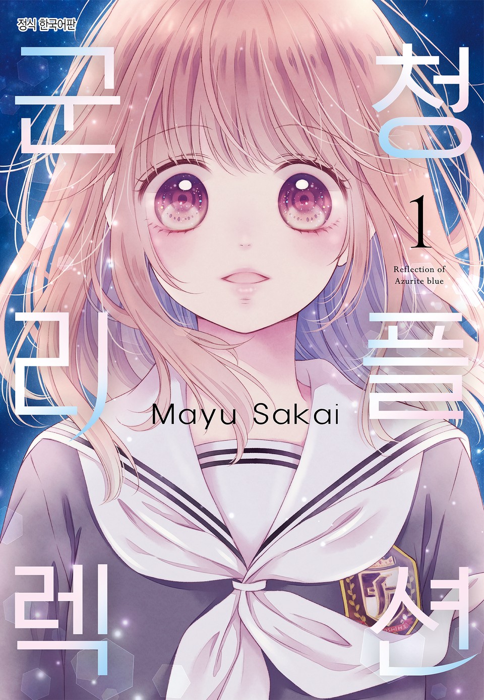 군청 리플렉션 1권