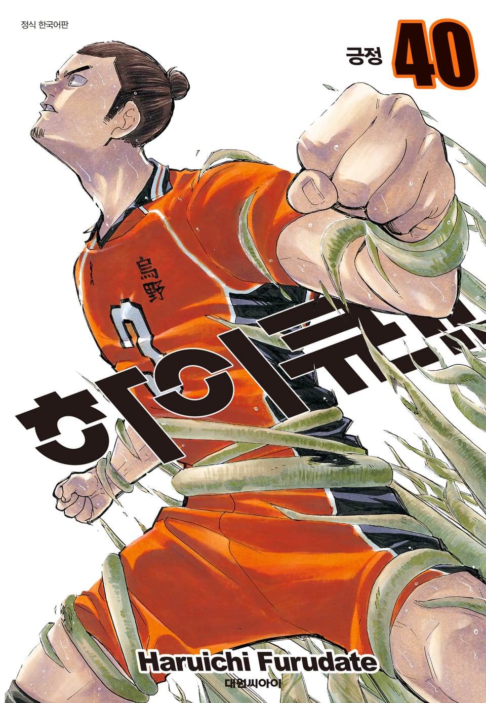 하이큐!! 40권
