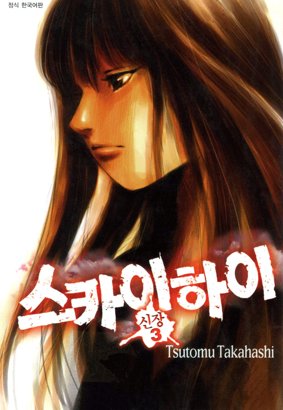 스카이하이 신장 3권