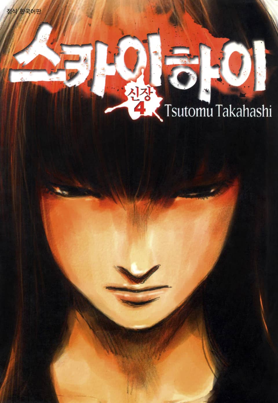 스카이하이 신장 4권 (완결)