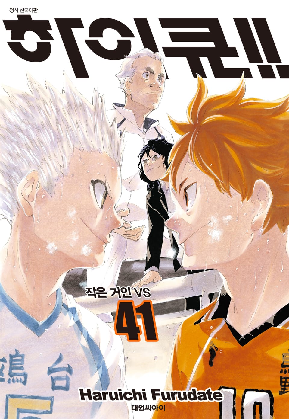 하이큐!! 41권
