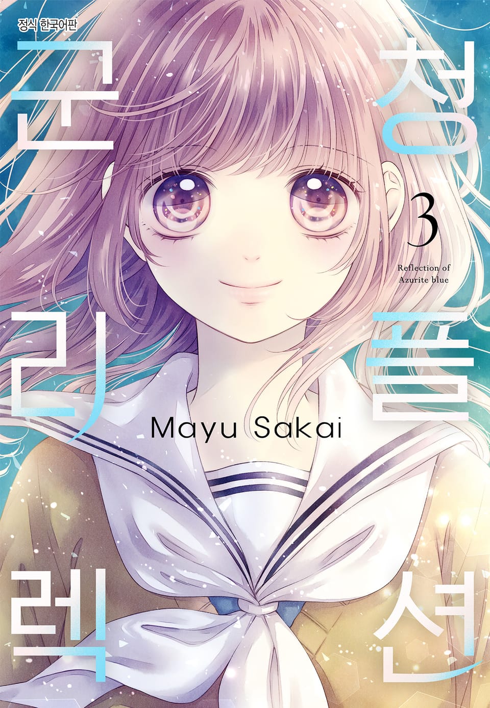 군청 리플렉션 3권