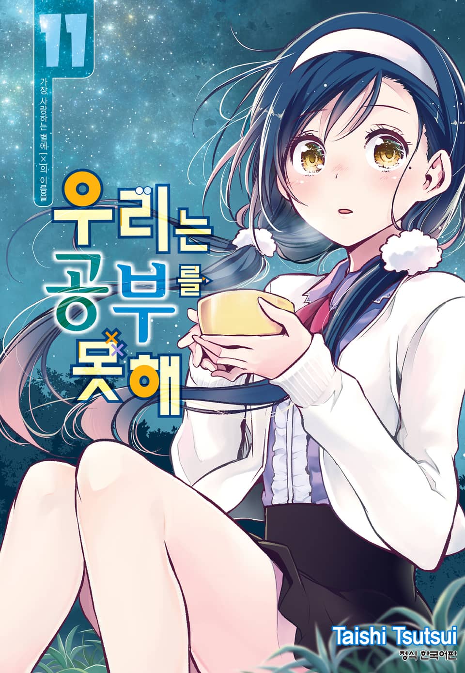 우리는 공부를 못해 11권