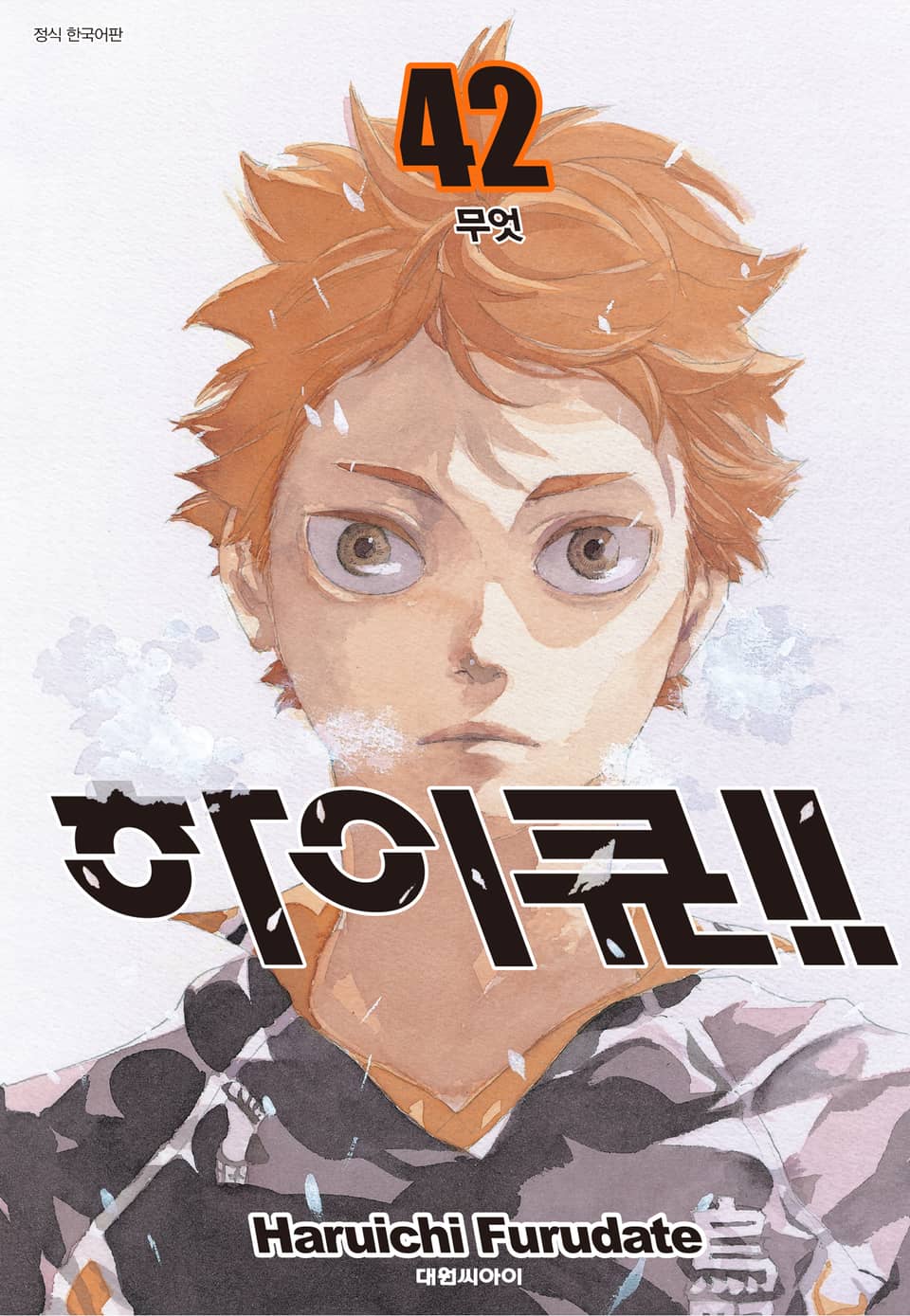 하이큐!! 42권