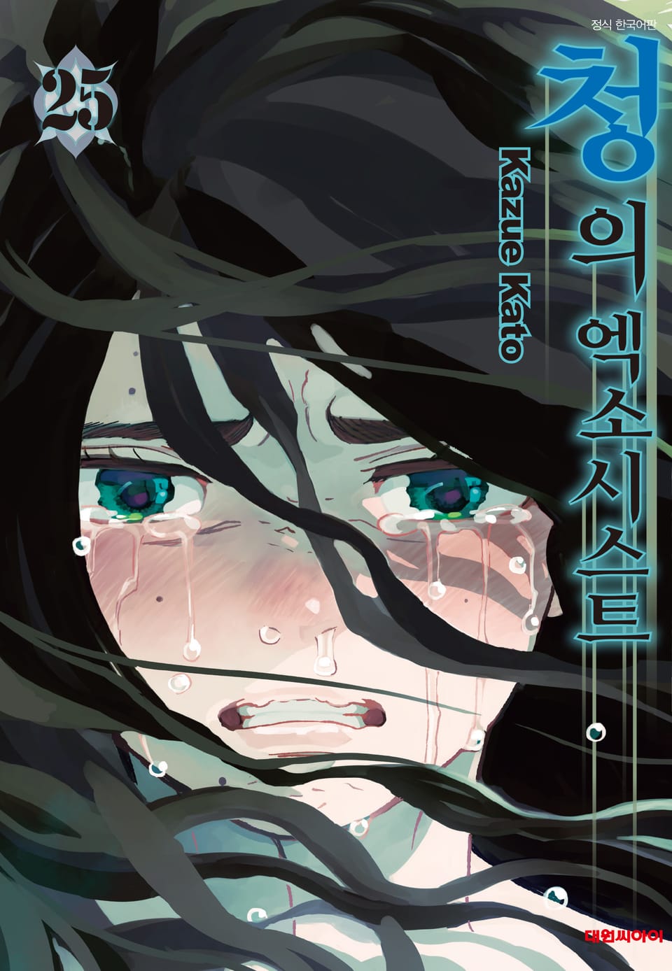 청의 엑소시스트 25권