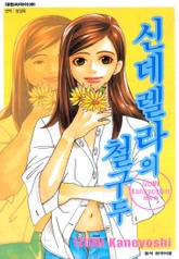 신데렐라의 철구두 표지 이미지