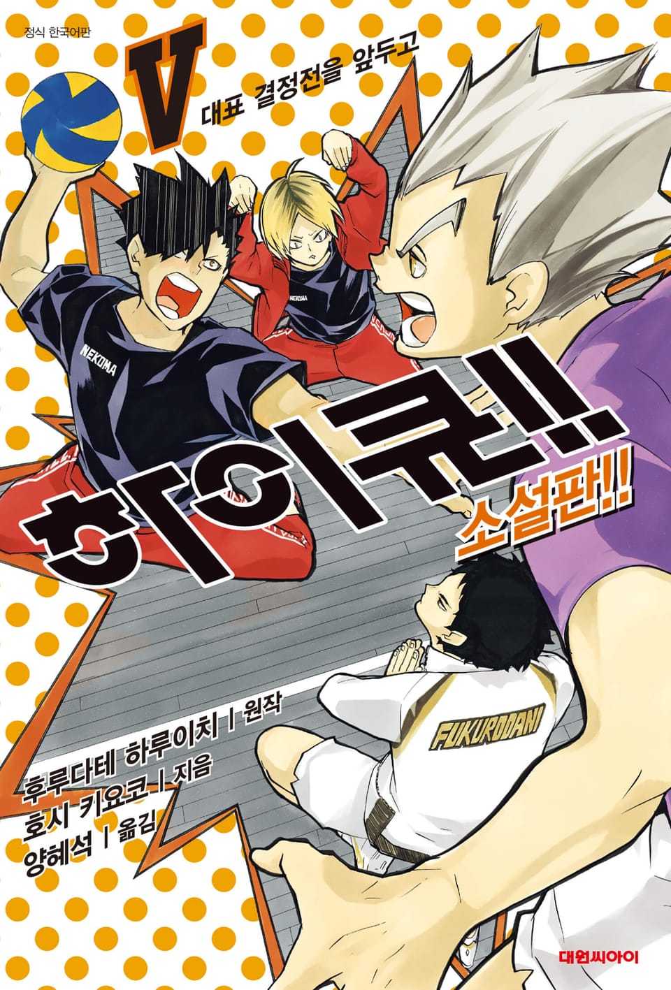 하이큐!! 소설판 5권