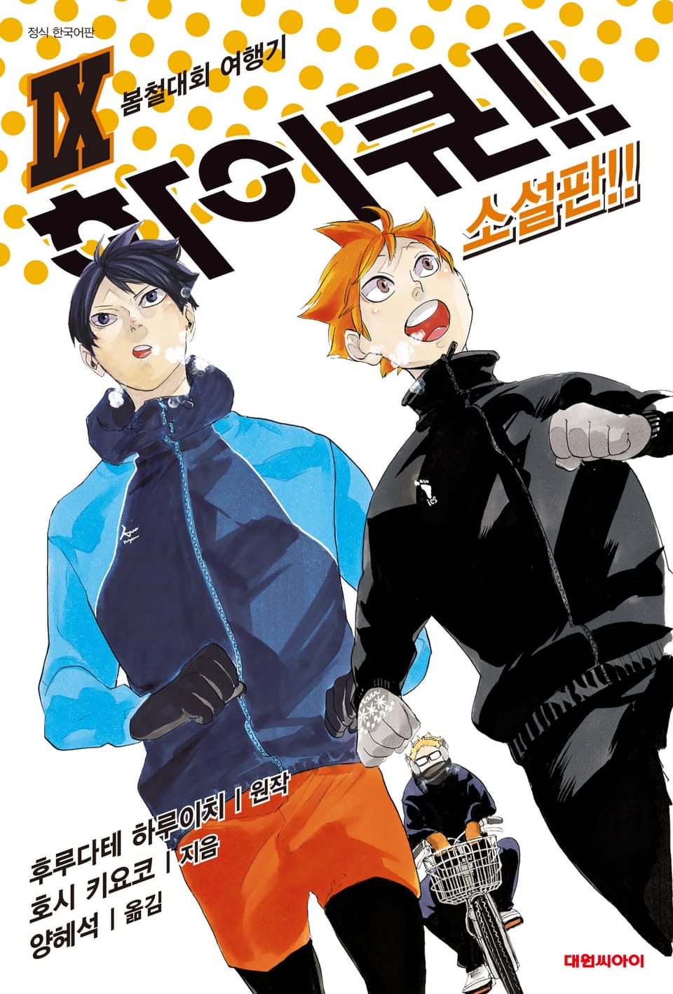 하이큐!! 소설판 9권