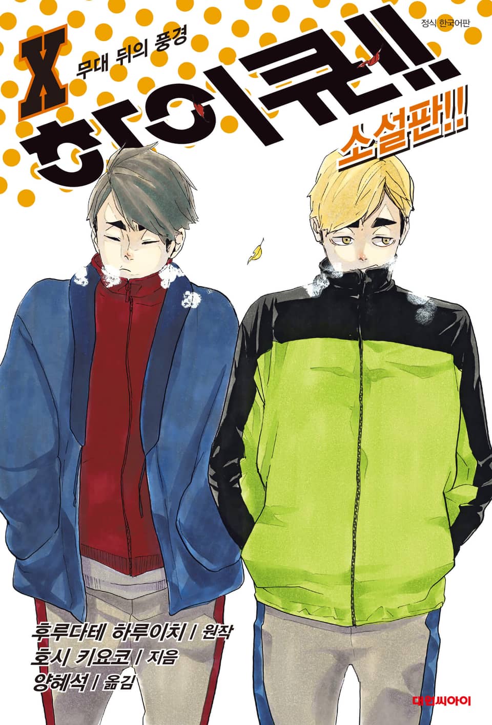 하이큐!! 소설판 10권