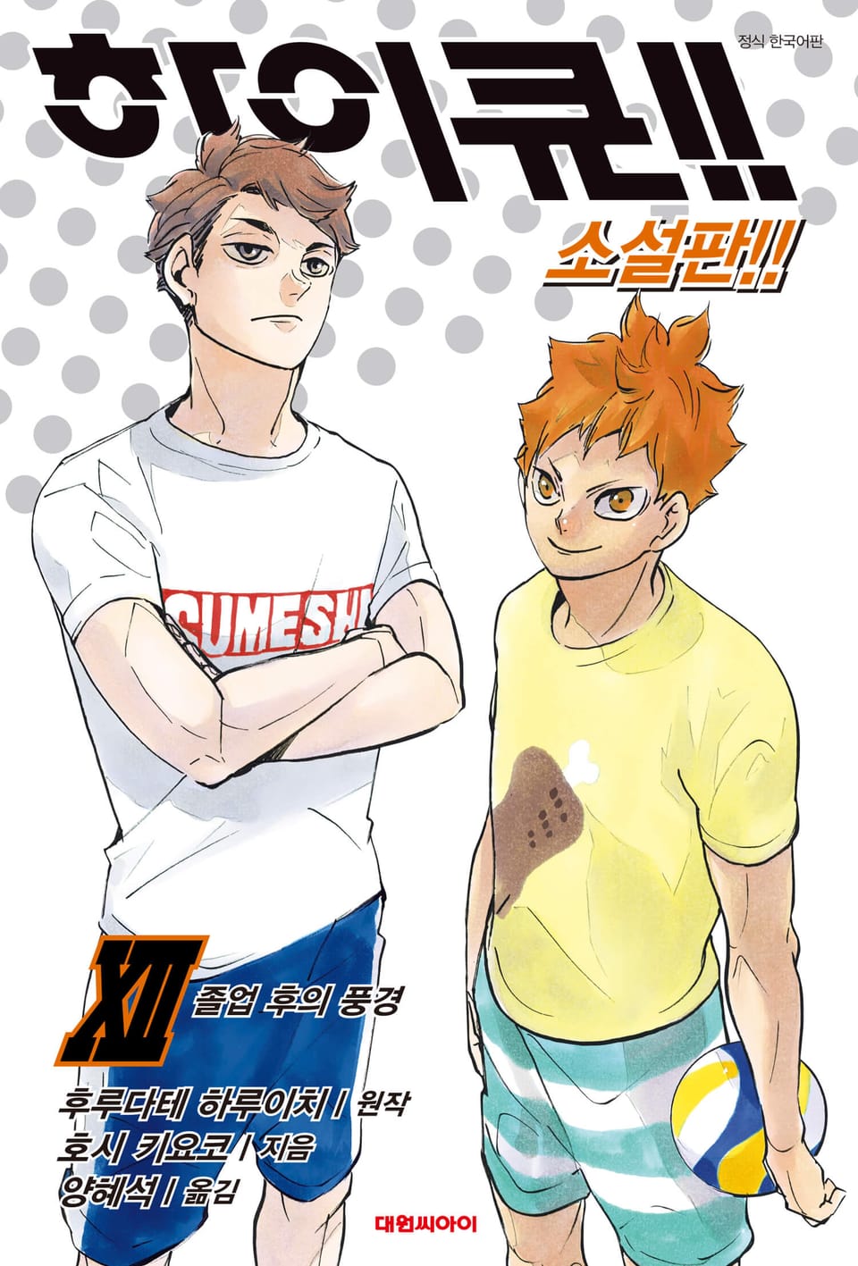 하이큐!! 소설판 12권