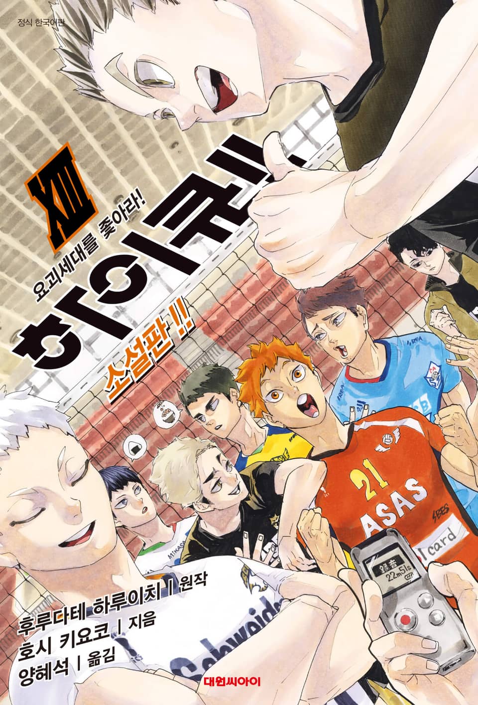 하이큐!! 소설판 13권