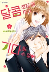 달콤해질 때까지 기다릴 수 없어 표지 이미지