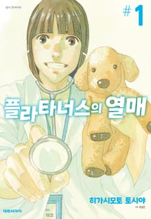 플라타너스의 열매