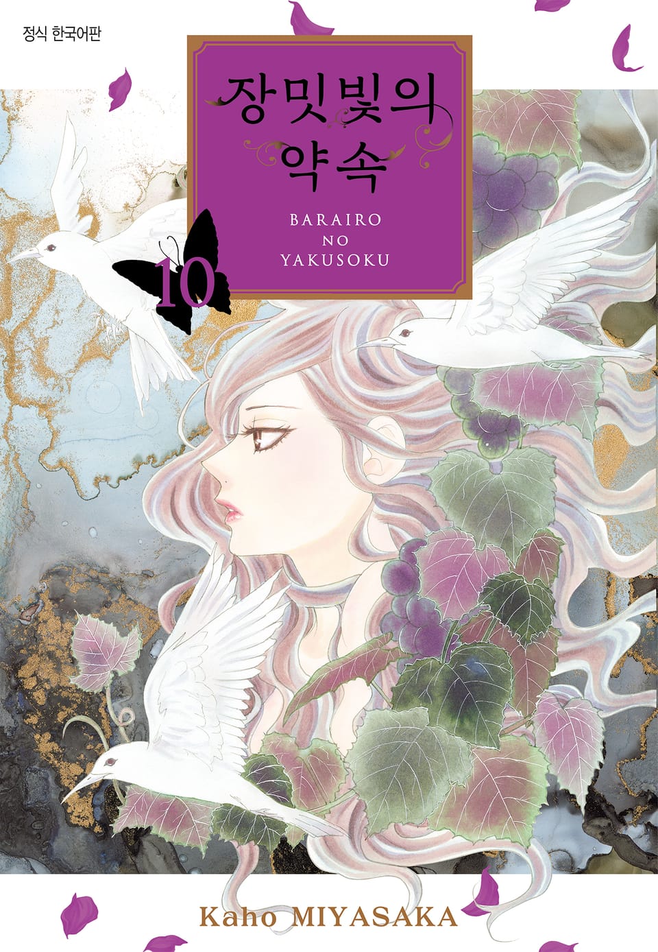 장밋빛의 약속 10권