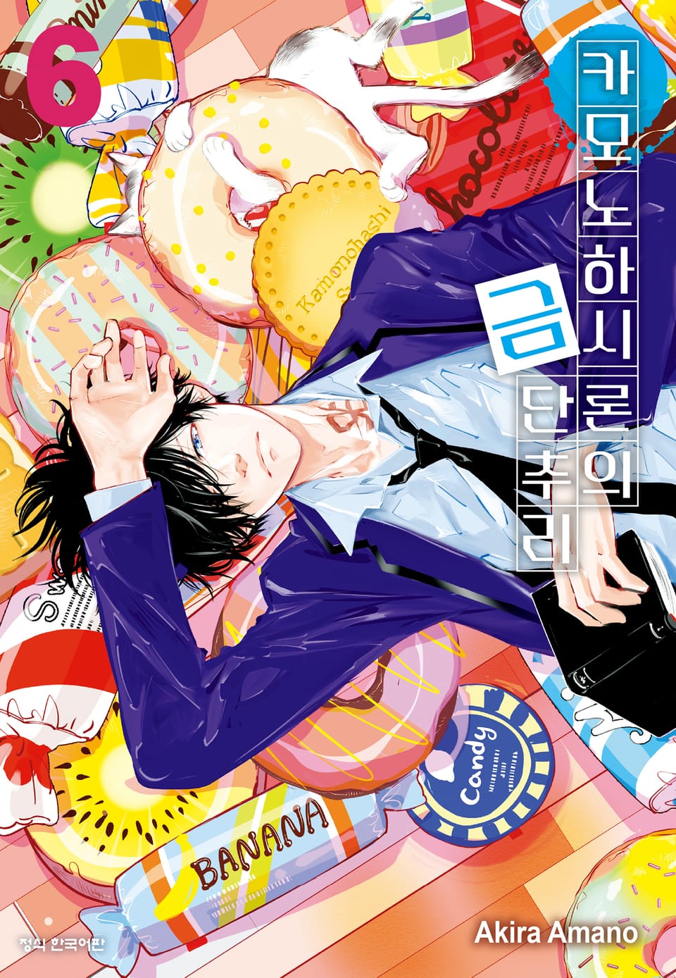 카모노하시 론의 금단추리 6권