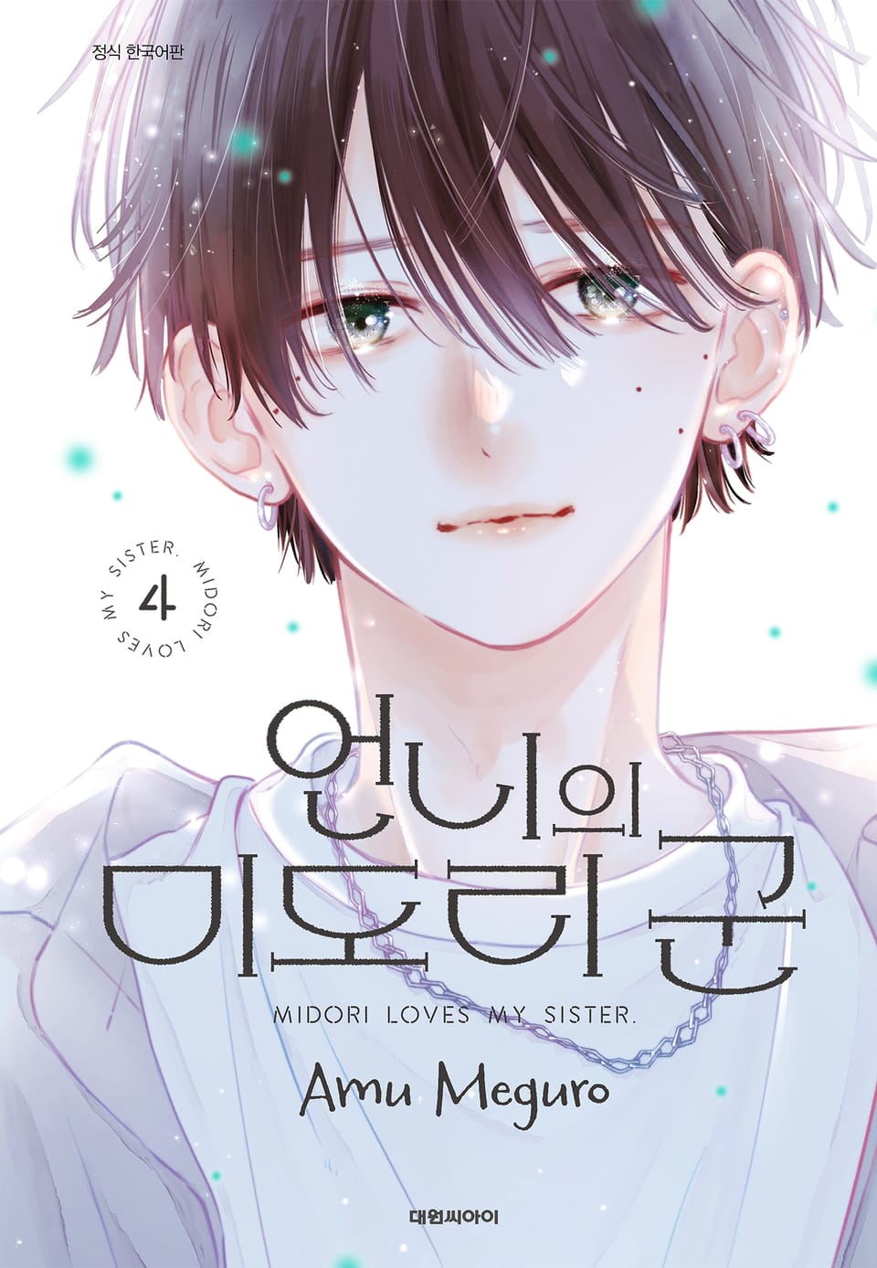 언니의 미도리군 4권