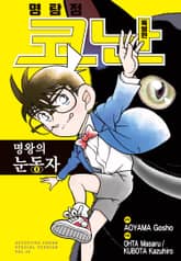 명탐정 코난 특별편 표지 이미지