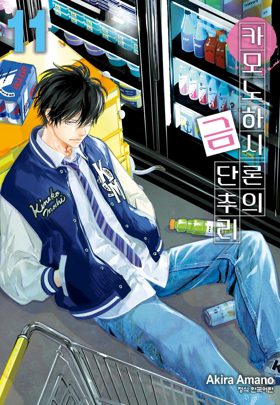 카모노하시 론의 금단추리 11권