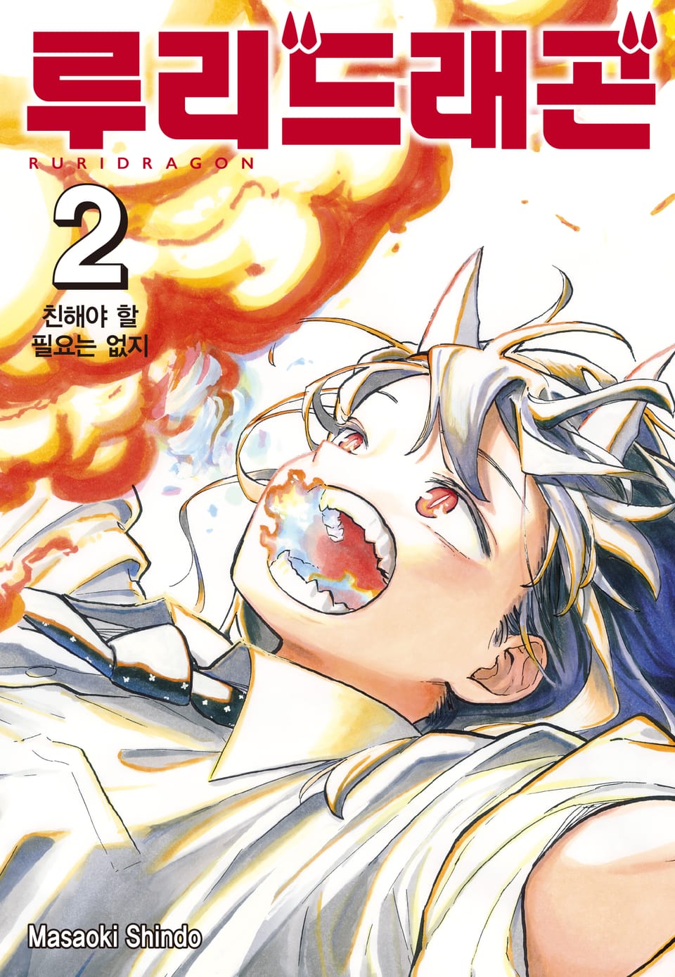 루리 드래곤 2권