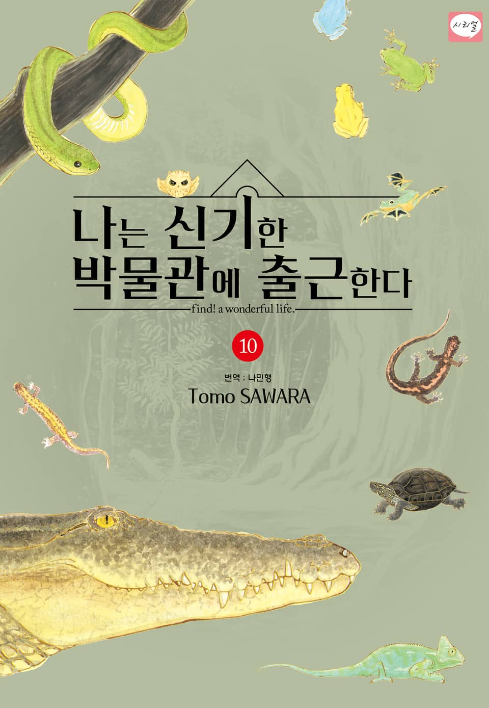 나는 신기한 박물관에 출근한다 10권