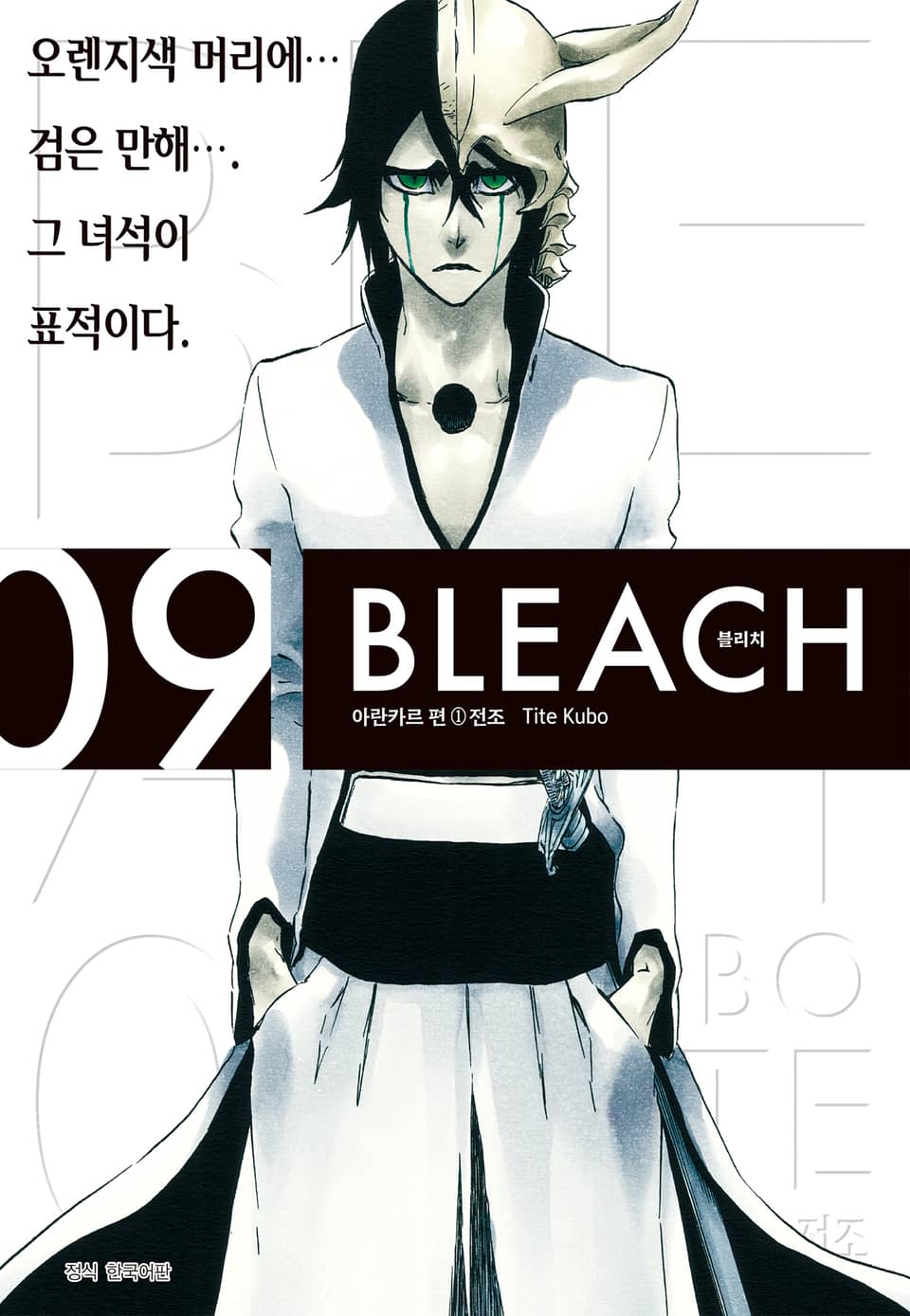 블리치 리믹스 9권