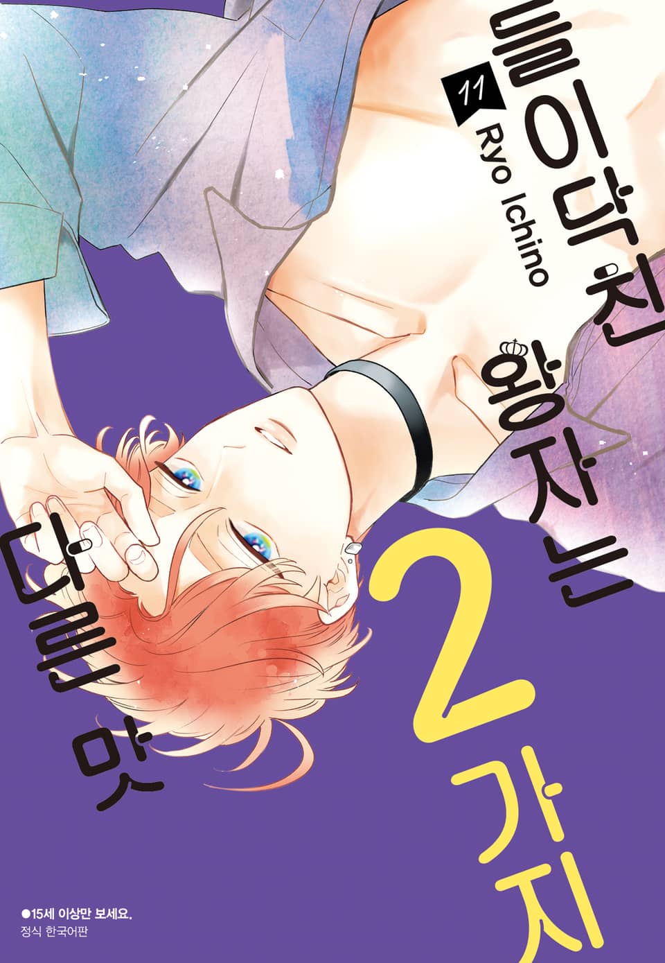 들이닥친 왕자는 2가지 다른 맛 11권