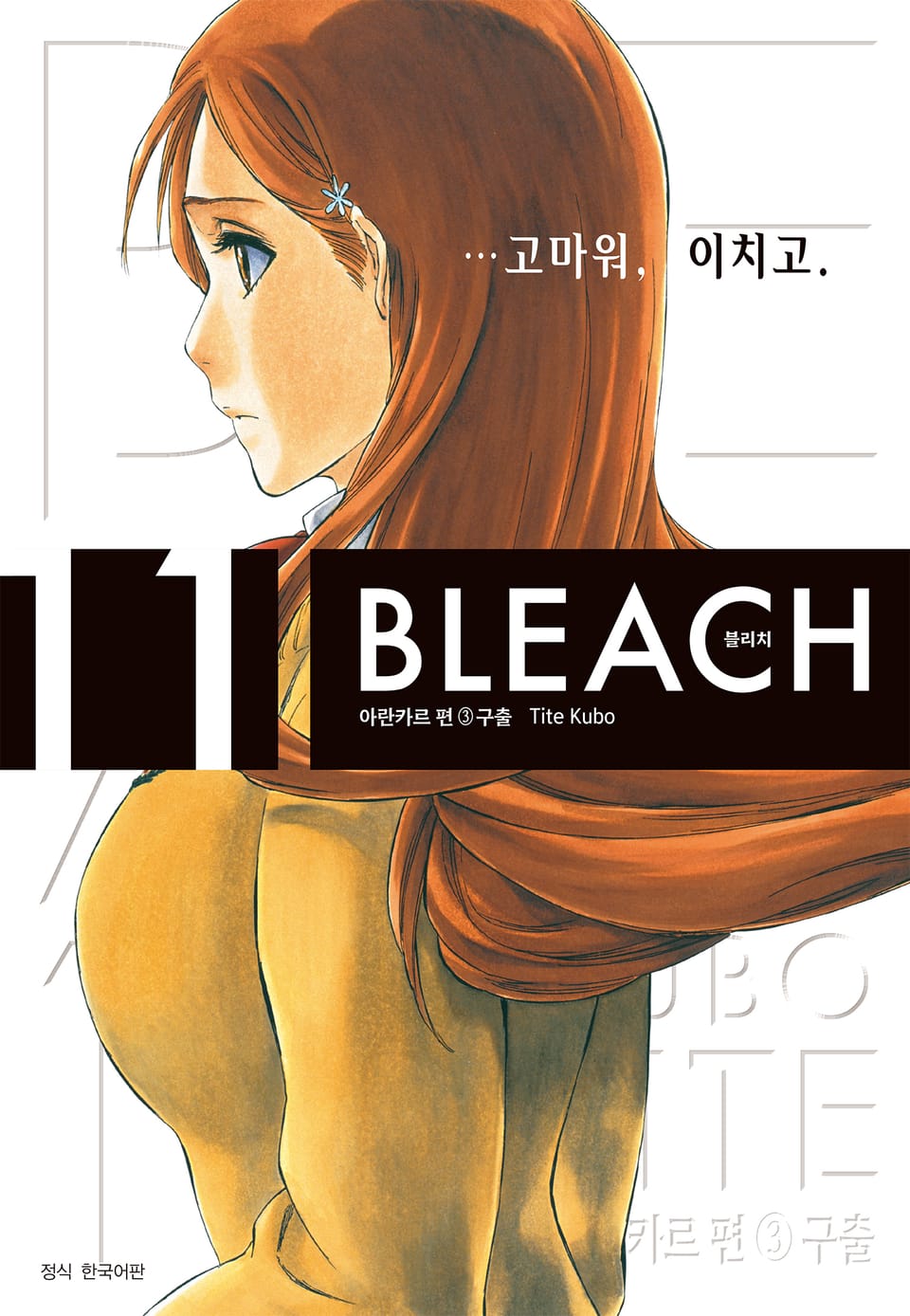 블리치 리믹스 11권