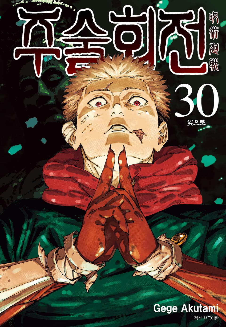 주술회전 30권 (완결)