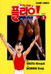 플라이! 하이 표지 이미지