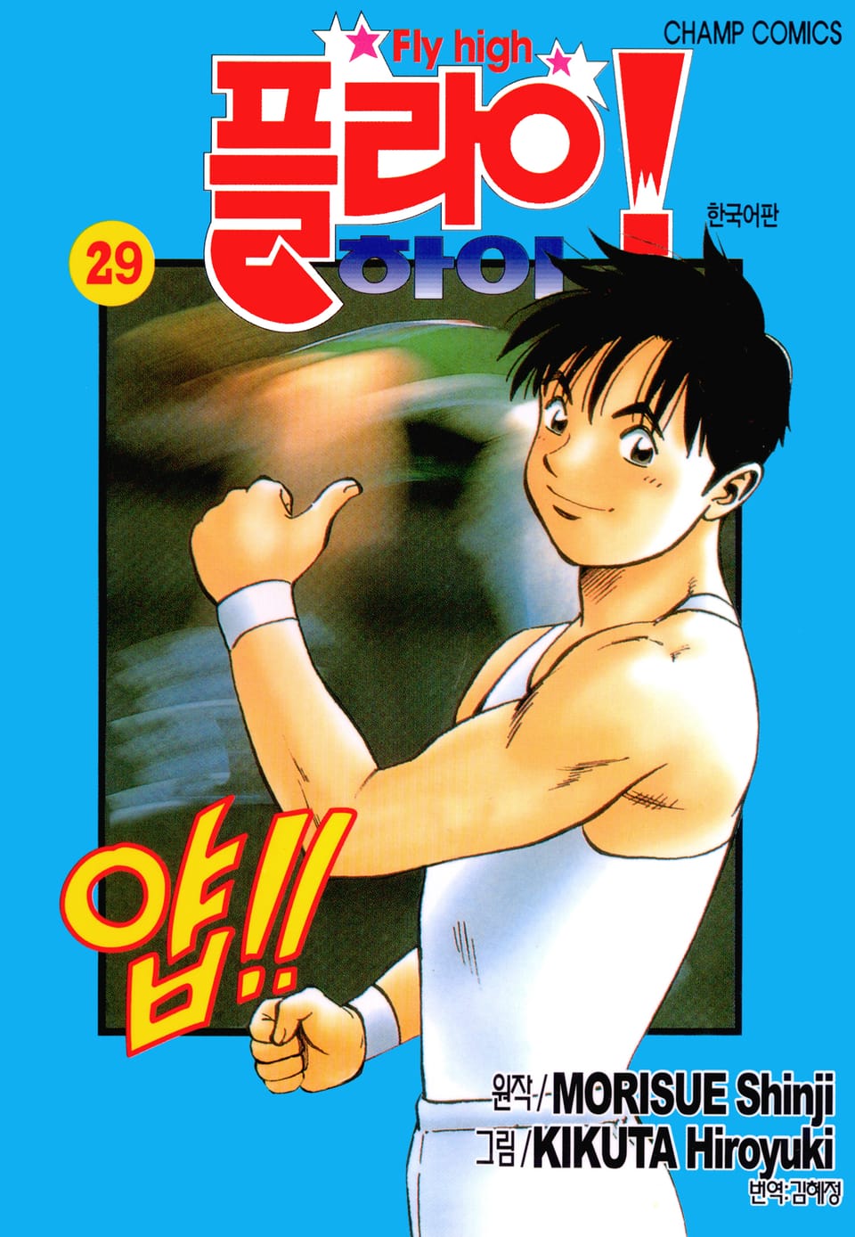 플라이! 하이 29권