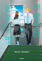 태양보다 눈부신 별 표지 이미지