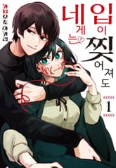 입이 찢어져도 네게는 표지 이미지