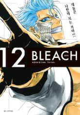 블리치 리믹스 표지 이미지