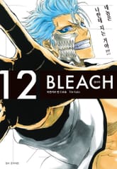 블리치 리믹스 표지 이미지