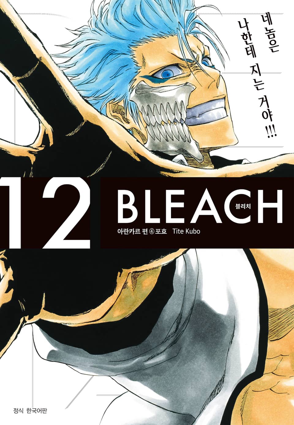 블리치 리믹스 12권