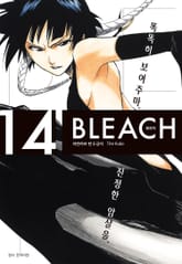 블리치 리믹스 표지 이미지